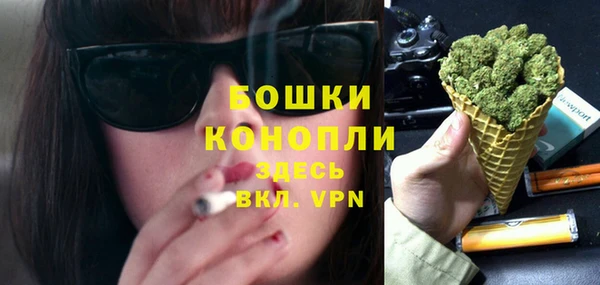 тгк Лагань