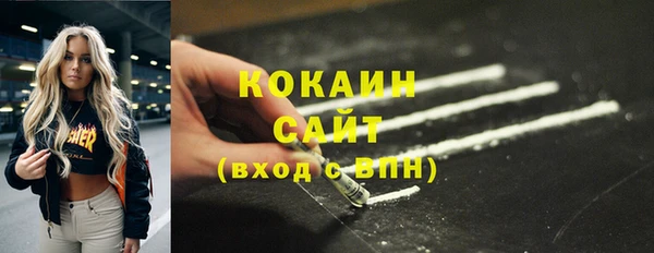 тгк Лагань