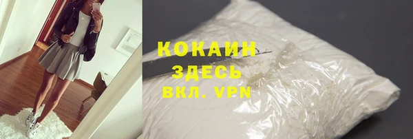 тгк Лагань